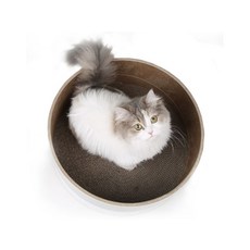 펫톤 캔스크래쳐 리필, 1개