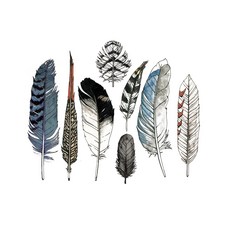 [Tattly] Watercolor Feather 타투스티커 세트, 단품, 단품