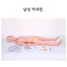 의료 실습용 마네킹 간호 훈련용 인체인형, 남성 마네킹 의료 실습용 모델 기본형