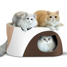 ComSaf 고양이 발톱 대형 새싹 골판지 터널 형 발톱 침대 고밀도 내구성 58x31x3, 1개