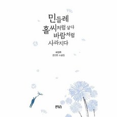 민들레홀씨조명등