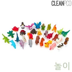 소프트큐티사파리