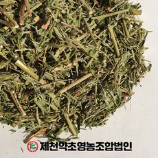 제천슬러시대여