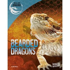 (영문도서) Bearded Dragons Paperback, Capstone Press, English, 9781515750741
