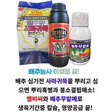 배추영양제 세트 사마귀뚝 엠비씨 배추무밭에 텃밭 붕소 칼슘 결핍 무사마귀병 뿌리혹병