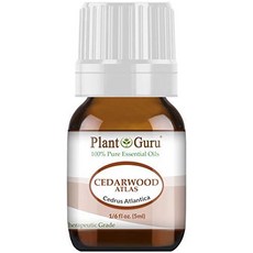 PLANT GURU 시더우드 아틀라스 에센셜 오일 용량 택1, Size = 5 ml., 본문참고, 본문참고