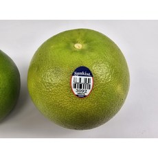 메로골드 청자몽 미국산, 1개, 특대 5개입 개당 550g 내외