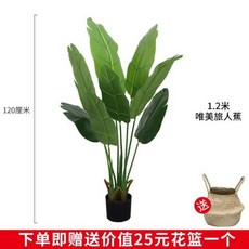 043759e9c140cd81dc997db8c0b3fc95097b8f252afccf83210acc206f35.jpg