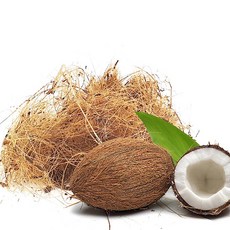 마이플랜트 코코화이버 20kg ( 200L ) 코코넛 멀칭재