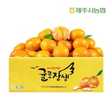 제주시농협 귤로장생 당도선별 노지감귤 4kg 로얄과 제주농부, 1개