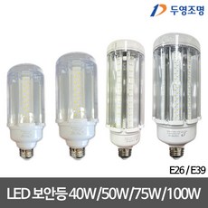 두영 LED투명보안등 40W/50W/75W/100W LED보안등 4종, 40W, E26, 1개