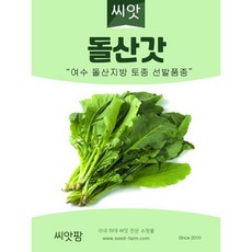 사라상회깻잎