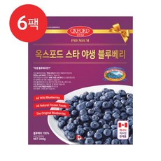 옥스포드야생블루베리