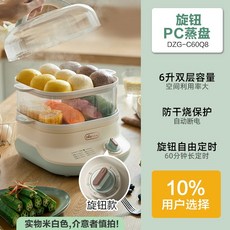 디온리전기찜기