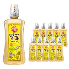 오뚜기 벌꿀 아카시아, 10개, 500g