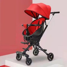 잉글레시나일렉타