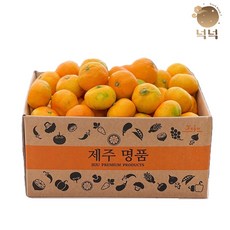 제주 귤 감귤 조생귤 2kg/3kg/4.5kg, 1박스, 로얄과(S-M) 1kg