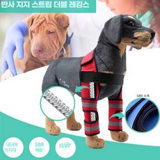 애완견 보호대 탈구 앞다리 보조기 슬개골 대형견, 블랙 홀터 S, 1개