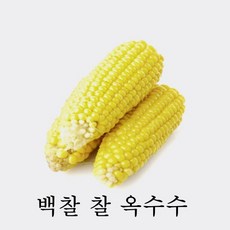 3048ce5218e6af61364aeb67a7aabd170f939c355d63723a6f9a8a185290.jpg