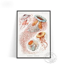 우영우고래일러스트