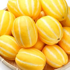 [유나네 과수원] 성주 꿀 참외 실속형 5kg 10kg (산지 직배송), 10kg 가정용(랜덤과)