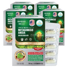 은행잎추출물 영양제 미타징코엔시아 60캡슐X5통 셀레늄 아연 비타민D