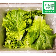 100% 유기농 친환경 생채 300g, 1개