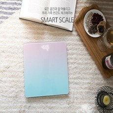 파스텔체중계 TOP01