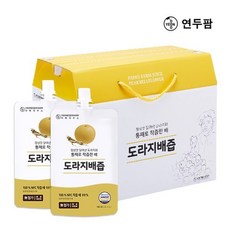 경상북도연두팜 돌려따는) 아빠의주스 도라지배즙 100ml 40개입 한박스