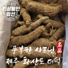 제주 더덕 화산토에서 키운 햇 더덕 특품, 무침용 더덕 소2kg