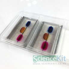 dda54da9e01c97eb281bbf9df77c616d1255f09396cd44c116dfce4f4f95.jpg