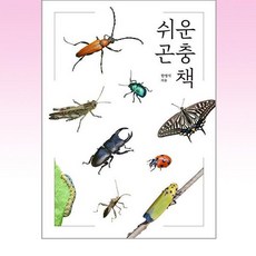 이노플리아 쉬운 곤충책, One color | One Size