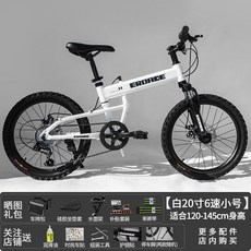 메리다빅나인