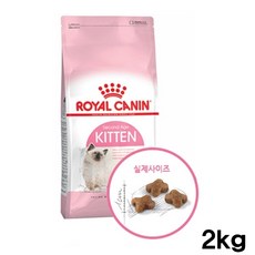 펫톡톡벌집모래특대형플러스