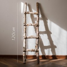 프리저브드플라워자격증반