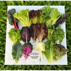 [묽맑은 양평] 지평농부 모듬쌈 & 샐러드채소, 샐러드채소1kg, 1개