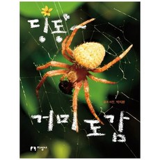 거미도감
