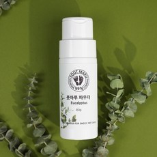 풋마루 신발냄새 탈취제 발냄새 파우더 운동화 군인 신발 구두 슬리퍼 샌들 냄새 제거, 풋마루 파우더 오렌지(80g), 1개, 80g