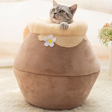 마이아집사