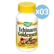 Nature's Way 네이처스웨이 에키네시아 골든실 이뮨 서포트 100캡슐 3팩 Echinacea Goldenseal, 3개, 100정