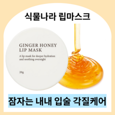 식물나라 진저허니 립마스크 20g 나이트 립케어 고보습 꿀추출물 립밤 입술각질 입술팩 립각질제거 립마스크 진저슈가 슬리핑팩 립팩 립마스크, 6개, 6개