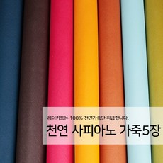 [레더키트]천연 가죽공예 원단 공방수업재료 리폼DIY원단 천연 사피아노 가죽 5장, 밝은계열