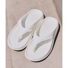 액트플러스