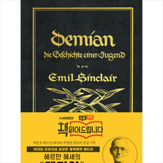 데미안리커버한정판 TOP01