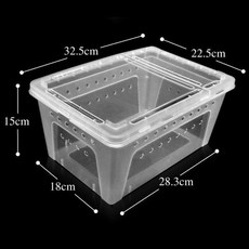 대구개미키우기