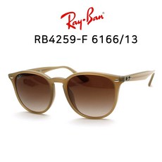 RAY BAN 레이벤 선글라스 RB4259F 6166-13 (53)