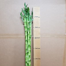 0f44970741fb400583e89cc9d82357cb00195b5002d67aa464d60cb27217.jpg