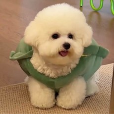강아지 거북이옷 고양이 반려동물 고북고북이옷 코스튬의상 의상 [20cm]
