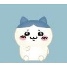 치이카와 룸라이트 하치와레