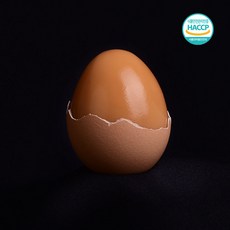추천2 맛있는 부활절 계란